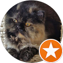 U. Kim profile picture